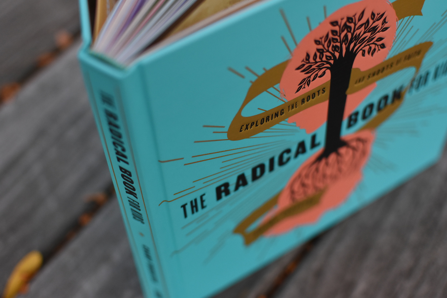 Great New Kids Book: The Radical Book for Kids
